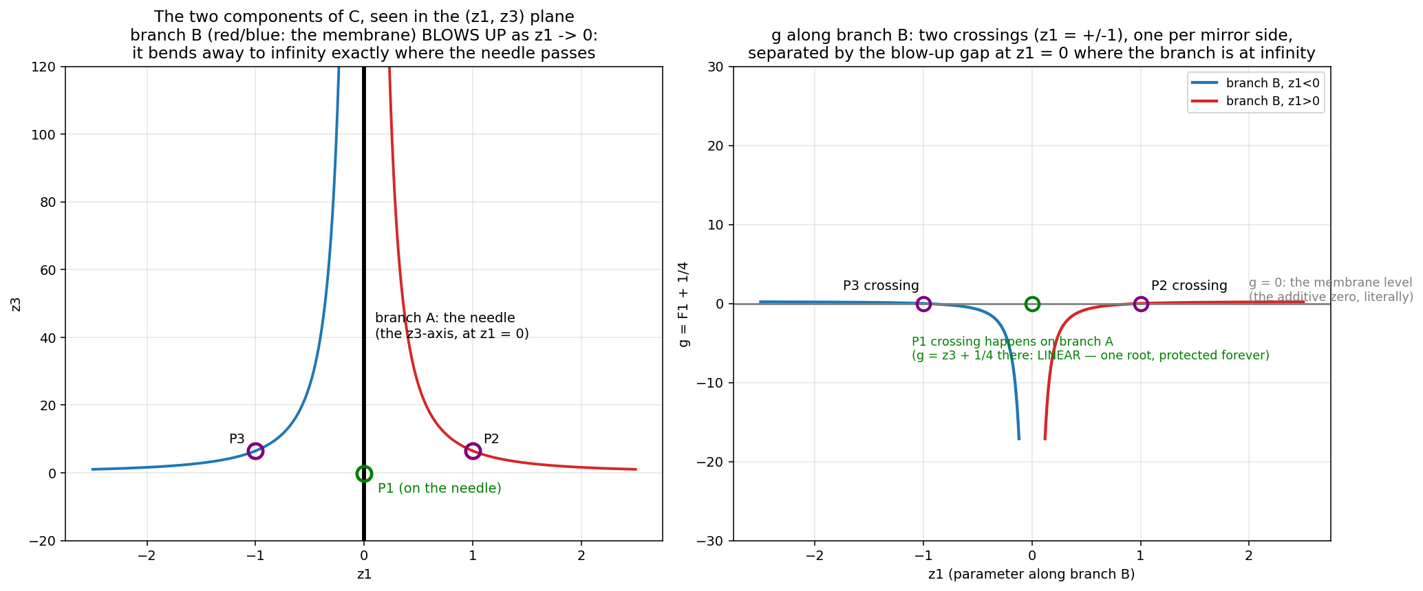 Left: the two fiber-bearing components in the (z1, z3) plane — branch A, the needle, in black; branch B, the membrane, in colour, blowing up to +∞ on both sides as z1 → 0. Right: g along branch B, two crossings at z1 = ±1 separated by the blow-up gap; the third crossing lives on branch A, where g is linear and cannot lose its root.