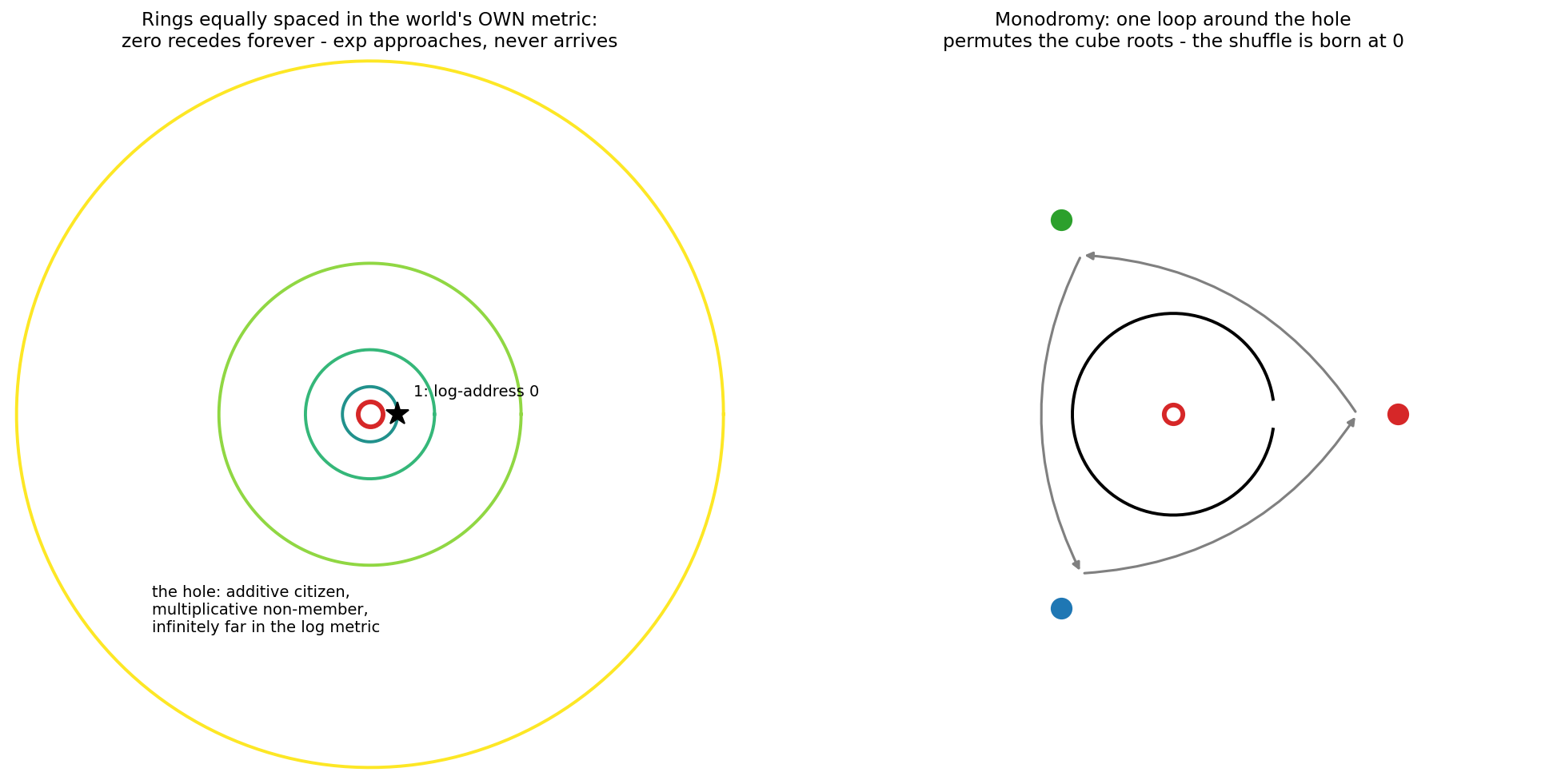 Left: the multiplicative world’s self-portrait — rings equally spaced in its own metric, the hole at 0 infinitely distant, the point 1 at log-address zero. Right: the hole as birthplace of ambiguity — walk once around it and the three cube roots permute. Branch cuts all emanate from 0; the shuffle that powers the counterexample is, at bottom, what happens when you circle the hole.