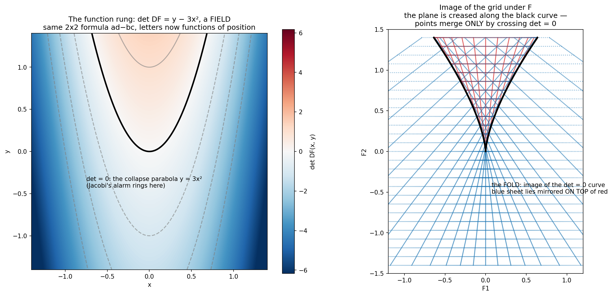 Figure 9. The function rung. Left: the determinant as a field —
red preserving territory, blue mirror territory, black collapse
parabola. Right: the image of a grid, creased along the fold, which is
precisely the image of the det = 0 curve. A small confession from the
expedition: our first attempt at this picture accidentally used a map
that was secretly complex-analytic, and holomorphic maps have det =
|f′|² ≥ 0 — they are constitutionally incapable of mirroring. A wrong
demo that taught a right fact.
