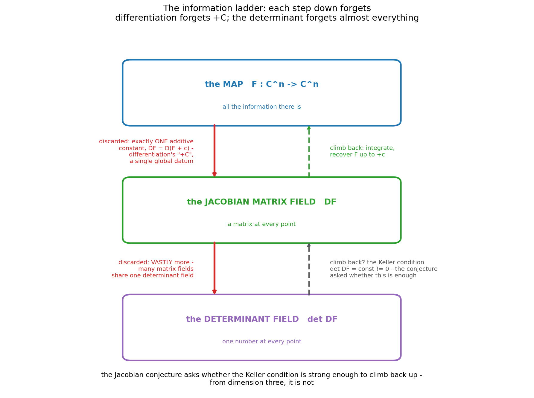 Figure 11. The information ladder. Each downward step forgets:
differentiation forgets exactly one additive constant (DF = D(F + c) —
the “+C” of every calculus course), while the determinant forgets vastly
more — many matrix fields share one determinant field. The Jacobian
conjecture asks whether the Keller condition is strong enough to climb
back up. From dimension three, it is not.